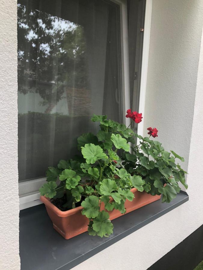 Mosoly Szallashely Szeged Esterno foto